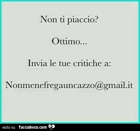 Non ti piaccio? Ottimo&hellip; invia le tue critiche a nonmenefregauncazzo gmail