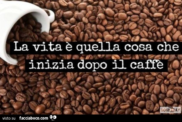 Vaccata