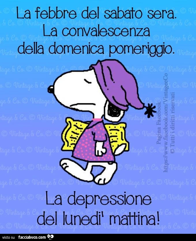 La febbre del Sabato sera. La convalescenza della Domenica pomeriggio. La depressione del Lunedì mattina