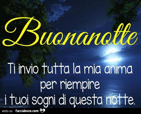 Buonanotte. Ti invio tutta la mia anima per riempire i tuoi sogni di questa notte