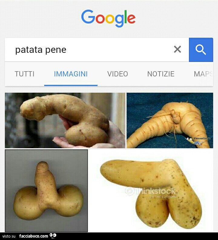 Vaccata