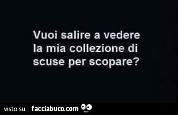 Vuoi salire a vedere la mia collezione di scuse per scopare?