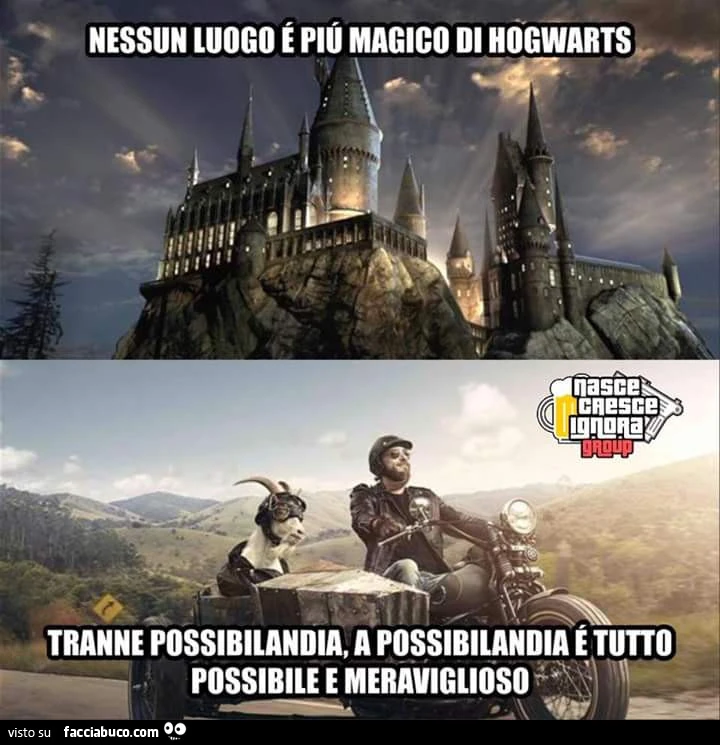 Nessun luogo é più magico di Hogwarts, tranne possibilandia, a possibilandia é tutto possibile e meraviglioso
