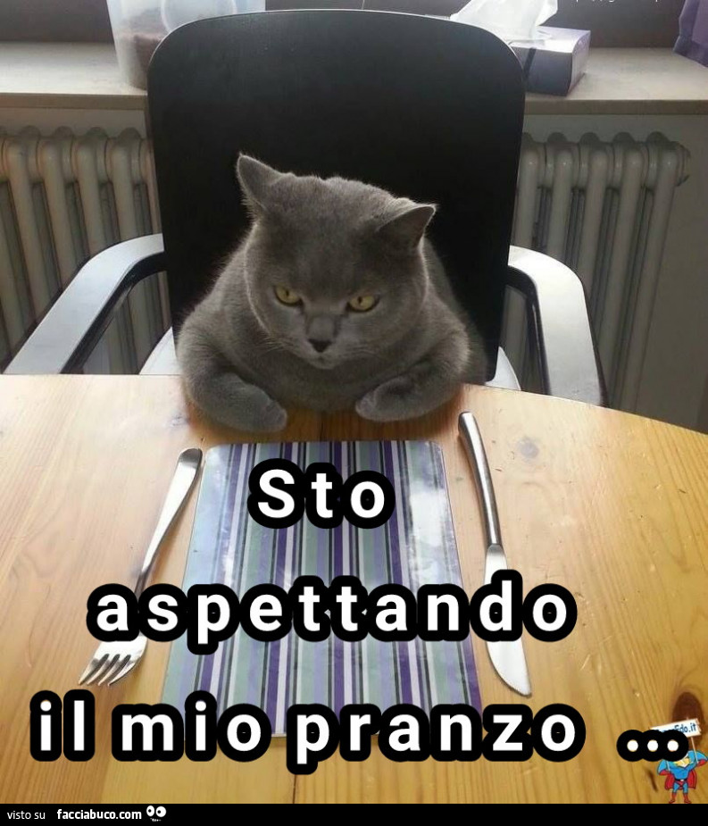 Sto aspettando il mio pranzo