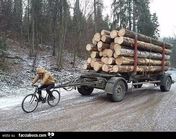 Trasporta la legna su un rimorchio in bicicletta