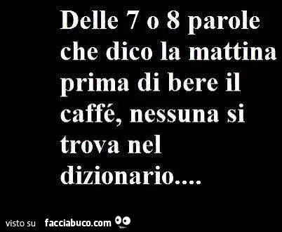 Delle 7 o 8 parole che dico la mattina prima di bere il caffé, nessuna si trova nel dizionario