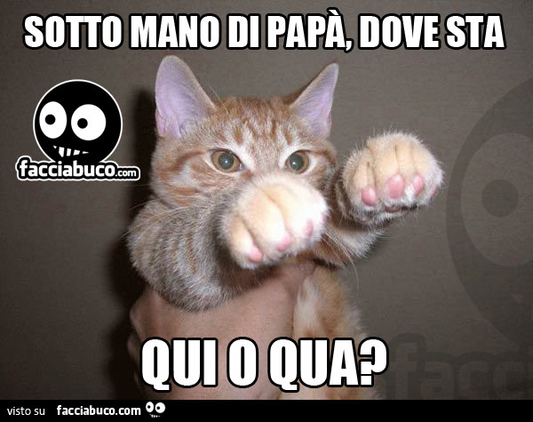 Sotto mano di papà, dove sta qui o qua?