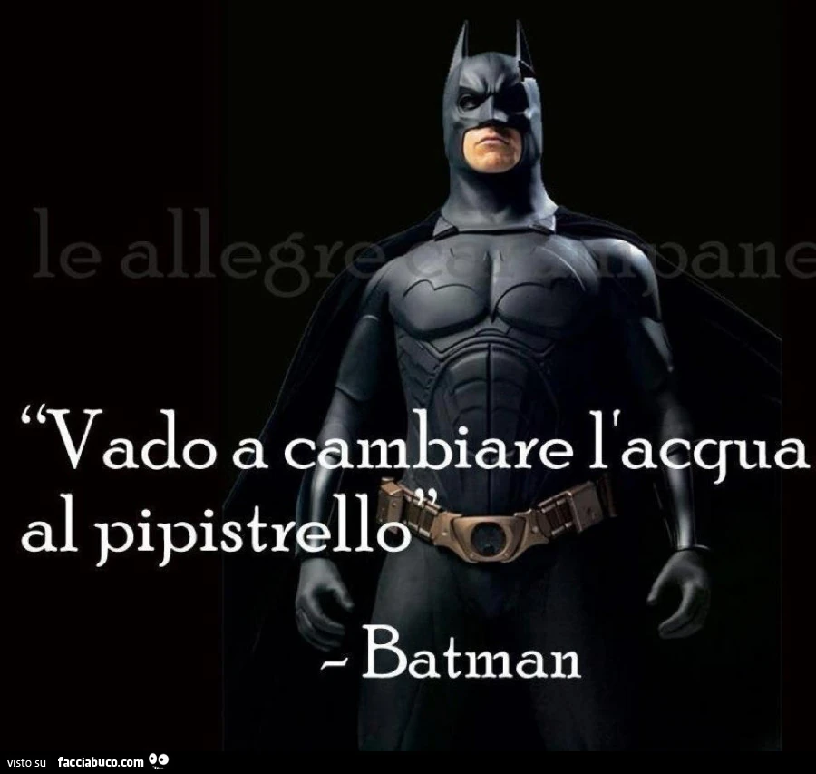 Vado a cambiare l'acqua al pipistrello. Batman