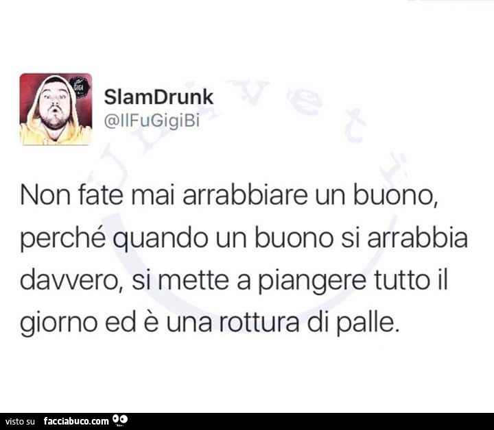 Non fate mai arrabbiare un buono, perchè quando un buono si arrabbia davvero, si mette a piangere tutto il giorno ed è una rottura di palle