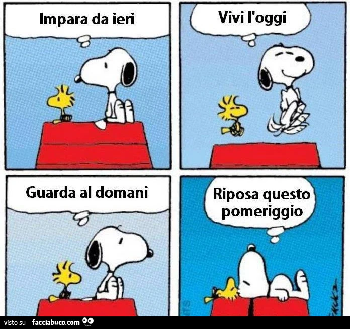 Impara da ieri. Vivi l'oggi. Guarda al domani. Riposa questo pomeriggio