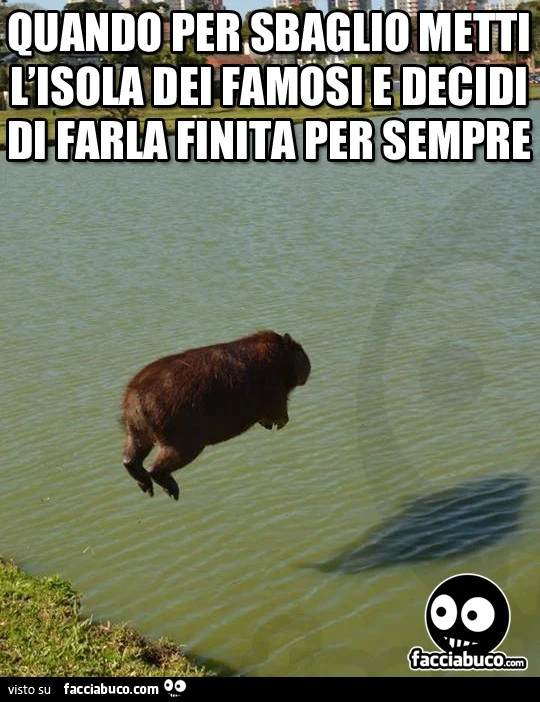 Quando per sbaglio metti l'isola dei famosi e decidi di farla finita per sempre