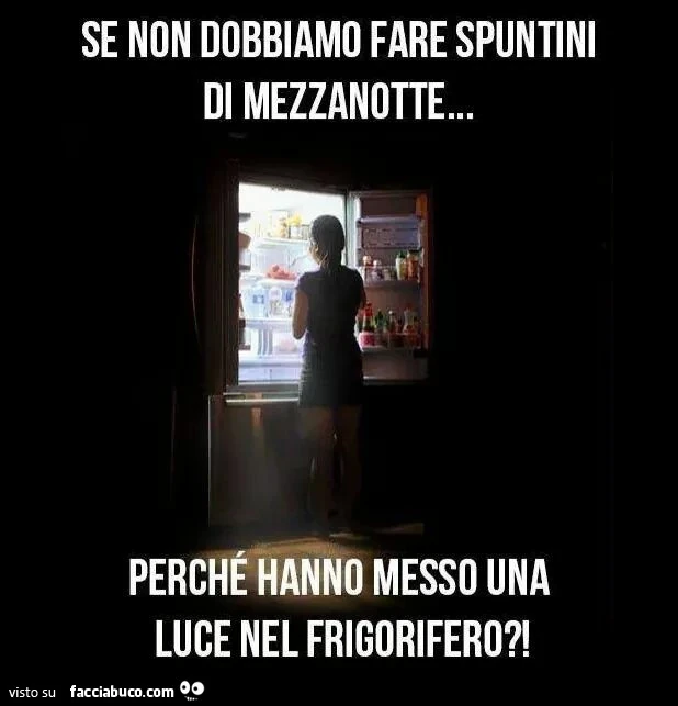 Se non dobbiamo fare gli spuntini di mezzanotte perchè ci hanno messo una luce nel frigorifero?