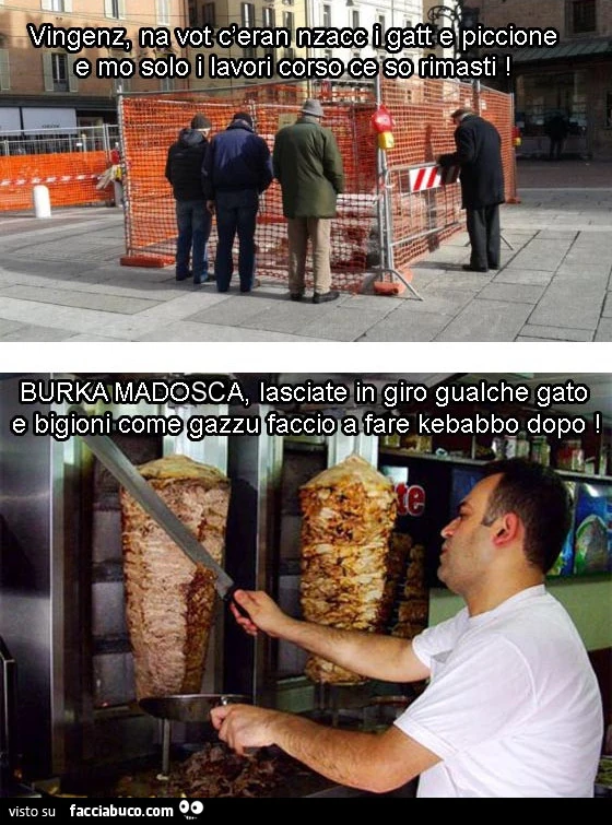 Vingenz na vot c'eran nzacc i gatt e piccione e mo solo i lavori corso ce so rimasti. Burka madosca lasciate in giro qualche gato e bigioni come gazzu faccio a fare kebabbo dopo