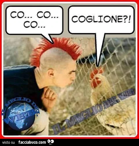 Co&hellip; co&hellip; co&hellip; coglione?