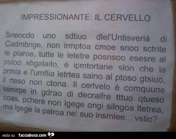 Impressionante il cervello. Secondo uno studio dell'università di Cambridge