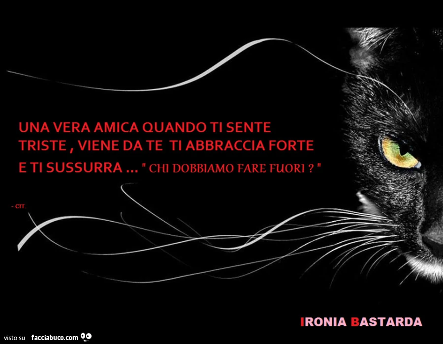 Una vera amica quando ti sente triste, viene da te ti abbraccia forte e ti sussurra&hellip; chi dobbiamo fare fuori?
