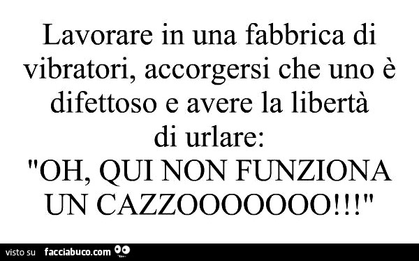 Lavorare in una fabbrica di vibratori, accorgersi che uno è difettoso e avere la libertà di urlare: oh, qui non funziona un cazzo