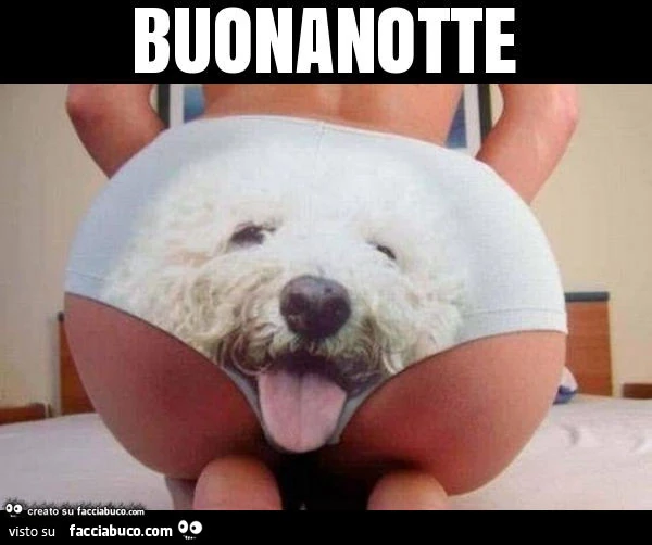 Buonanotte