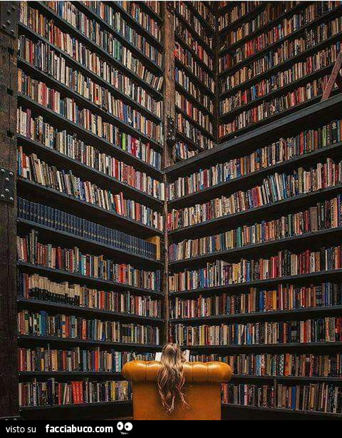 Libreria gigantesca