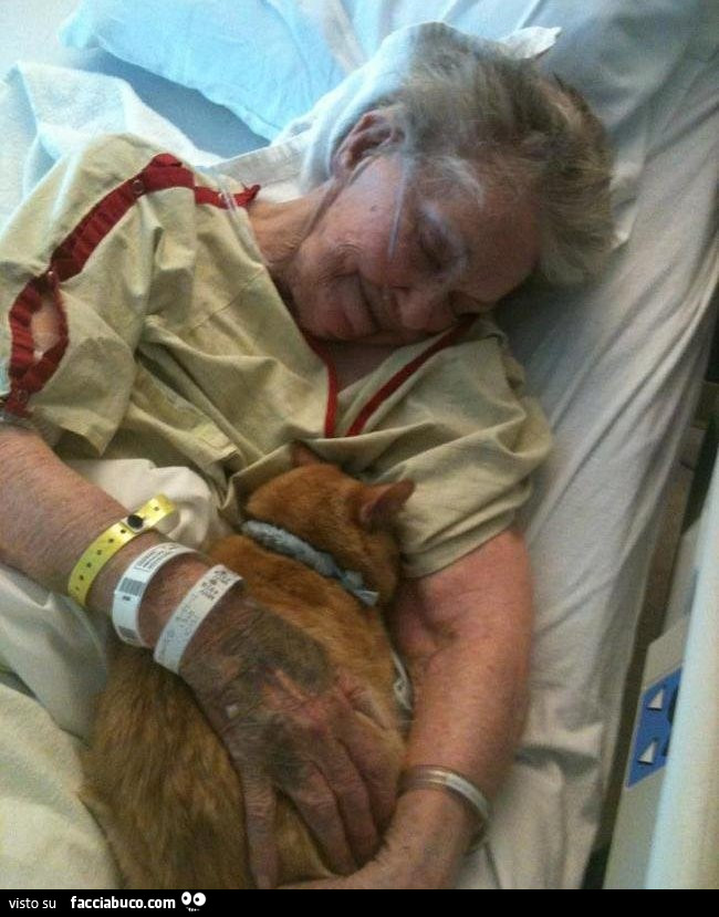 Vecchia in ospedale assieme al suo gatto