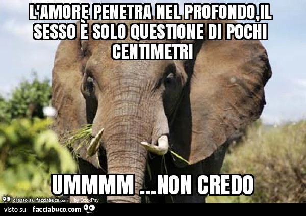 L'amore penetra nel profondo, il sesso è solo questione di pochi centimetri ummmm&hellip; non credo