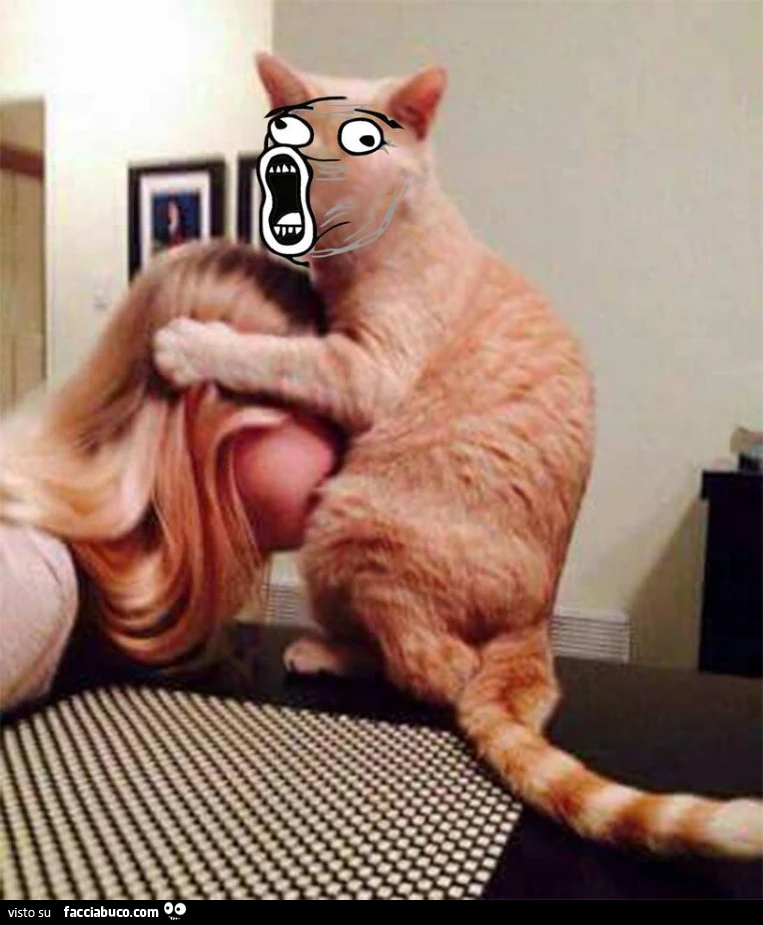 Pompino al gatto con volto meme