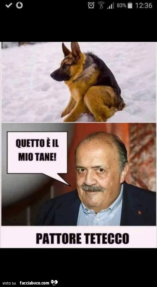 Vaccata