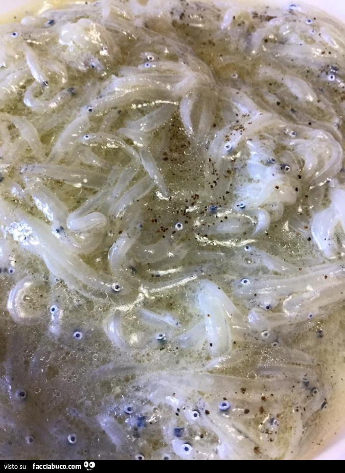 Vaccata