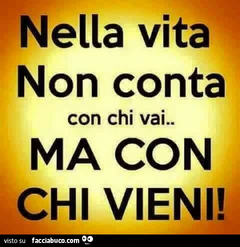 nella vita non conta con chi vai, ma con chi vieni!