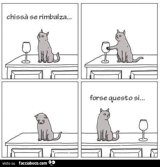 Gatto con bicchiere. Chissà se rimbalza. Forse questo si