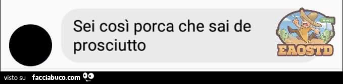 Sei così porca che sai de prosciutto