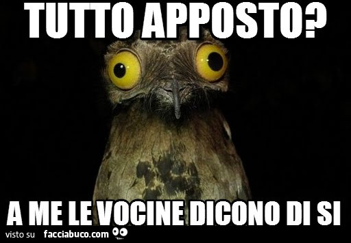 Tutto apposto? A me le vocine dicono di si