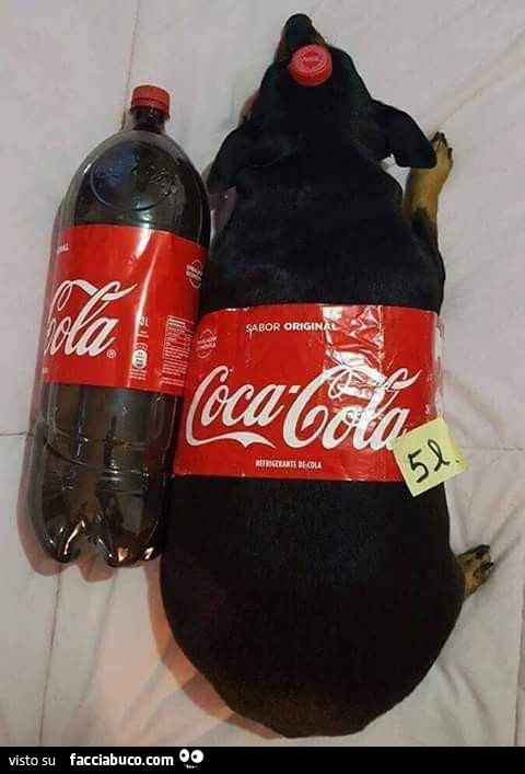 Cagnolino come bottiglia di Coca Cola