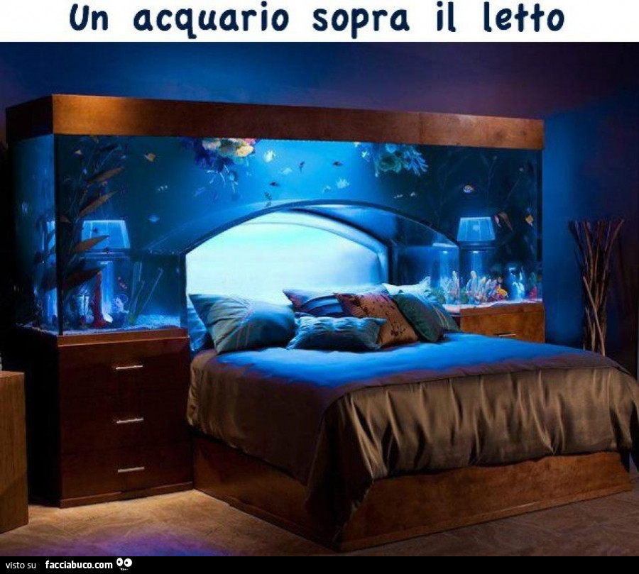 Un acquario sopra il letto